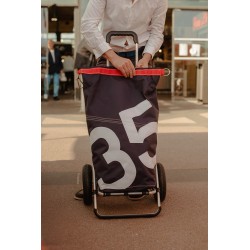 charriot de course ouvert